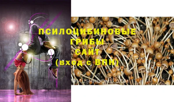 сатива Володарск