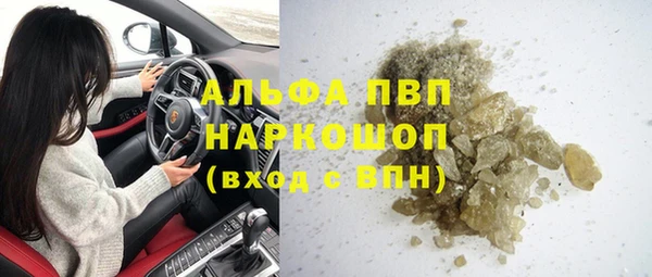 сатива Володарск